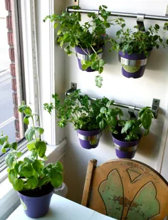DIY: دیوار گیاهان در آشپزخانه