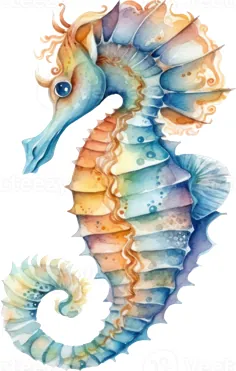 نقاشی رنگارنگ اسب دریایی