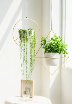 20 ایده شیک برای تزئین فضای کوچک خود با گیاهان - زندگی در جعبه کفش