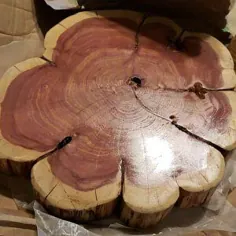 Tree Stump Side Table Real Cedar Log مبلمان استامپ قهوه استامپ |  اتسی