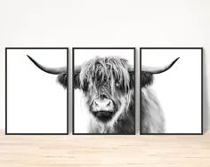 مجموعه 3 گاو Highland Cow چاپ گاو اسکاتلند Highland |  اتسی