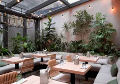 کافه JUNGLE: طراحی داخلی طبیعی یک کافه با سبزی و نورپردازی زیبا