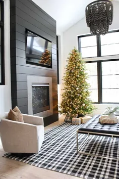 تور خانگی کریسمس Wonderland Winter: اتاق نشیمن و اتاق خانواده - خانه پوشش نقره ای