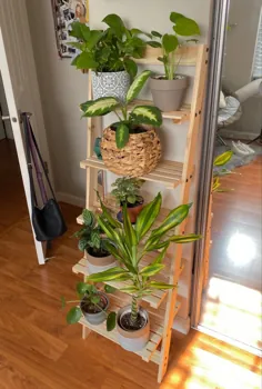 قفسه ناز برای گیاهان!