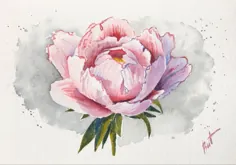 گل صد تومانی نقاشی آبرنگ هنر اصلی گلدار هنوز | Etsy