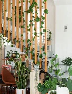 این آپارتمان جالب در اتاق زیر شیروانی باعث می شود شما بخواهید خانه خود را با گیاهان پر کنید