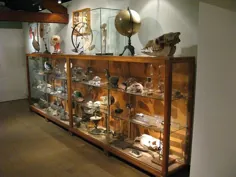 کابینه Rariteitenk در موزه دکتر Guislain Gent