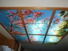 نقاشی های دیواری سقف آسمان - بالاترین کیفیت توسط گالری فلورسنت