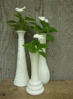 سه گلدان گلدان شیشه ای شیر |  اتسی