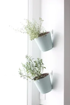 Hanging Herb Planters باغ گیاهان سرپوشیده |  جولی بلانر