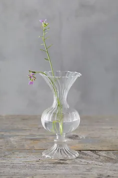 گلدان شیشه ای پوسته پوسته شده