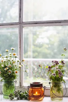 گیاهان و گلها با فانوس در جلو پنجره توسط Sandra Cunningham - فانوس ، پنجره