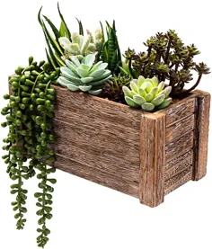 گیاهان مصنوعی گیاهان کوچک جعلی - گلدان در جعبه مینی گیاهان تقلبی دکوراسیون اتاق ، تزئینات گیاهان مصنوعی گیاهان داخلی تزئینات دیوار حمام گیاهان جعبه میز کارخانه گیاهان کوچک گیاهان مصنوعی در فضای باز