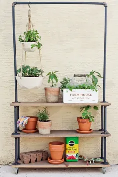 باغ قفسه و گیاهان غلتکی DIY |  خانه |  وبلاگ مامان تازه