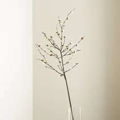 شاخه گل شکوفه های سفید گیلاس + نظرات |  جعبه و بشکه