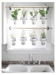 درمان پنجره آشپزخانه بیش از گیاهان غرق