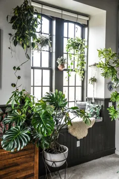 طراح Hilton Carter’s Bodacious بالتیمور پد با بیش از 300 گیاه سرشار است