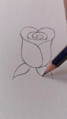 نقاشی مدادی گل رز