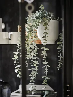 گیاه گلدان مصنوعی FEJKA ، حلق آویز داخلی / فضای باز ، اکالیپتوس - IKEA