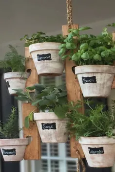 چگونه گیاهان را در فضای داخلی پرورش دهیم - باغبانی آسان برای بالکن