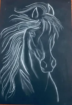 اسب زغالی سفید