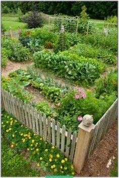 نکات و ترفندهای باغبانی سبزیجات ارگانیک فقط برای شما