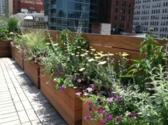 حیاط خلوت NYC + طراح باغ پشت بام برای زیبایی وحشی - الکساندرا ابوزا