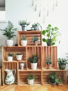 ایده های مناسب برای گیاهان DIY