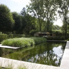 Zwemvijver in L-vorm in landelijke tuin met cederhouten poolhouse ‹De Mooiste Zwembaden