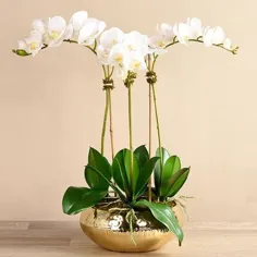 گل گل ارکیده Vivian Rose در گلدان گلدان سفید ، اندازه 20 "L x 20" W x 25.5 "H | Wayfair