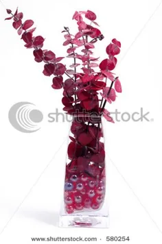 گلدان شیشه ای گل اوکالیپتوس (اکنون ویرایش کنید) 580254
