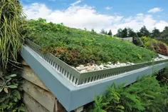 سیستم سقف سبز ANS GrufeKit