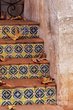 پله کاشی اسپانیایی توسط ساندرا برونشتاین