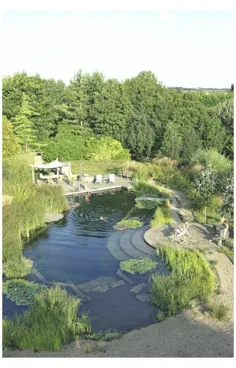 طراحی استخر شنا طبیعی حیاط خلوت