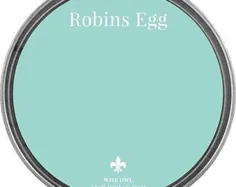 رنگ سنتز گچ جغد روشن آبی روشن Robins Egg |  اتسی