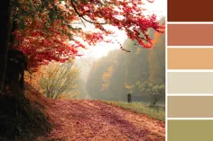 7 طرح ساده رنگ پاییزی برای اینکه خانه شما در سال 2020 بسیار دنج شود