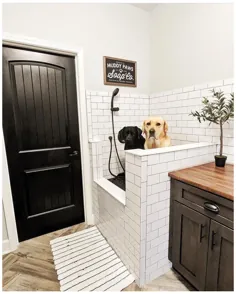 حمام سگ داخلی