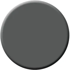 خاکستری (2121-10): 12 "x12" نمونه رنگ پوست و استیک