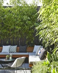 باغ خود را مدرن کنید - چگونه بامبو پرورش دهیم • دستکش باغ