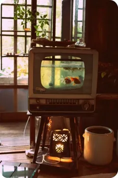 چگونه تلویزیون قدیمی را به مخزن ماهی تبدیل کنیم