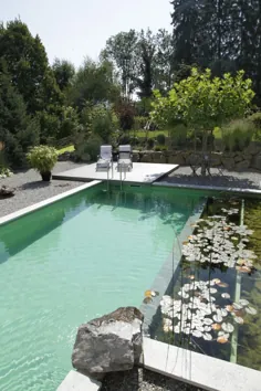 استخرهای شنای طبیعی توسط Biotop-The New Eco Trend homesthetics (23) |  لوازم خانگی - ایده های الهام بخش برای خانه شما.