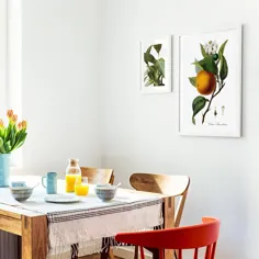 Fruit Kitchen Wall Art Print عتیقه گیاه شناسی |  اتسی