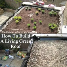 نحوه ساخت یک پروژه سبز بام سبز |  The Homestead Survival