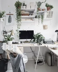 10 idées pour intégrer des plantes dans votre bureau؟