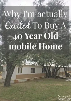خرید خانه قدیمی موبایل: 6 دلیل هیجان زده شدن من |  همسر مزرعه صرفه جو