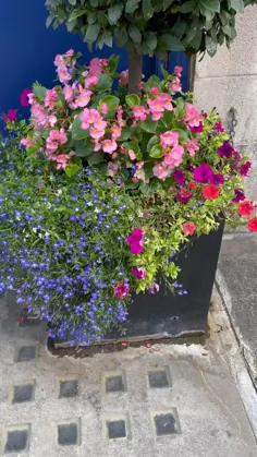 گل آرایی در خارج از خانه شما
