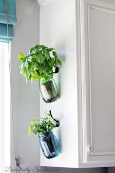 حلق آویز گیاهان تازه در شیشه های ماسون آبی و سبز