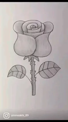 گل رز زیبا در طراحی سیاه و سفید