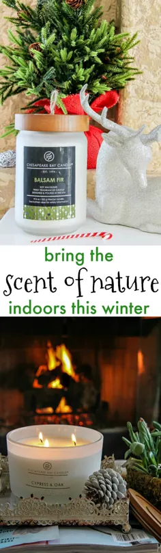 عطر و بوی طبیعت را در زمستان امسال به فضای داخلی بیاورید |  تونیا استاب