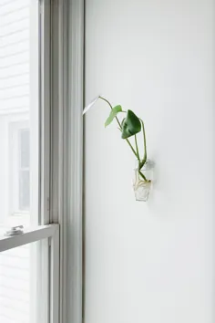 گلدان دیواری شیشه ای |  دکور شیشه ای دمیده - Hoppe Shoppe